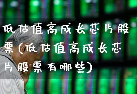 低估值高成长芯片股票(低估值高成长芯片股票有哪些)_https://www.xzdzchf.com_创业板_第1张