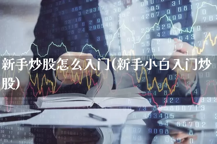 新手炒股怎么入门(新手小白入门炒股)_https://www.xzdzchf.com_创业板_第1张