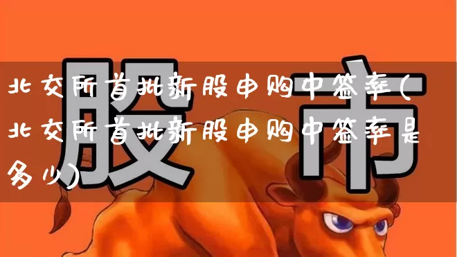 北交所首批新股申购中签率(北交所首批新股申购中签率是多少)_https://www.xzdzchf.com_科创板_第1张