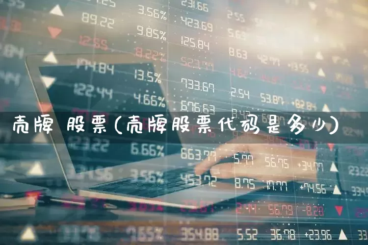 壳牌 股票(壳牌股票代码是多少)_https://www.xzdzchf.com_北交所_第1张
