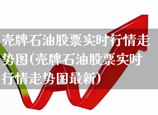 壳牌石油股票实时行情走势图(壳牌石油股票实时行情走势图最新)_https://www.xzdzchf.com_科创板_第1张