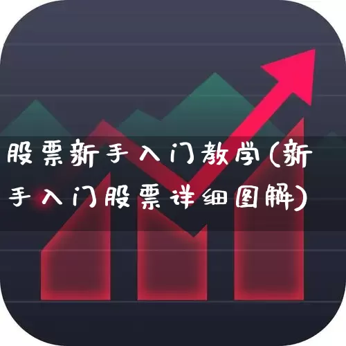 股票新手入门教学(新手入门股票详细图解)_https://www.xzdzchf.com_创业板_第1张