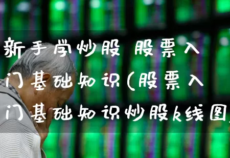 新手学炒股 股票入门基础知识(股票入门基础知识炒股k线图)_https://www.xzdzchf.com_科创板_第1张