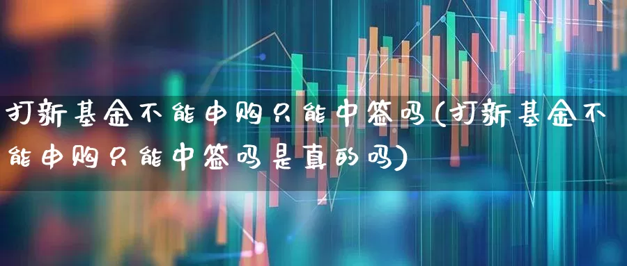打新基金不能申购只能中签吗(打新基金不能申购只能中签吗是真的吗)_https://www.xzdzchf.com_北交所_第1张