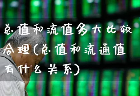 总值和流值多大比较合理(总值和流通值有什么关系)_https://www.xzdzchf.com_深交所_第1张