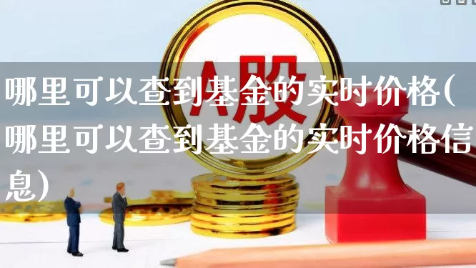 哪里可以查到基金的实时价格(哪里可以查到基金的实时价格信息)_https://www.xzdzchf.com_北交所_第1张