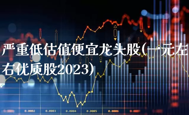 严重低估值便宜龙头股(一元左右优质股2023)_https://www.xzdzchf.com_北交所_第1张