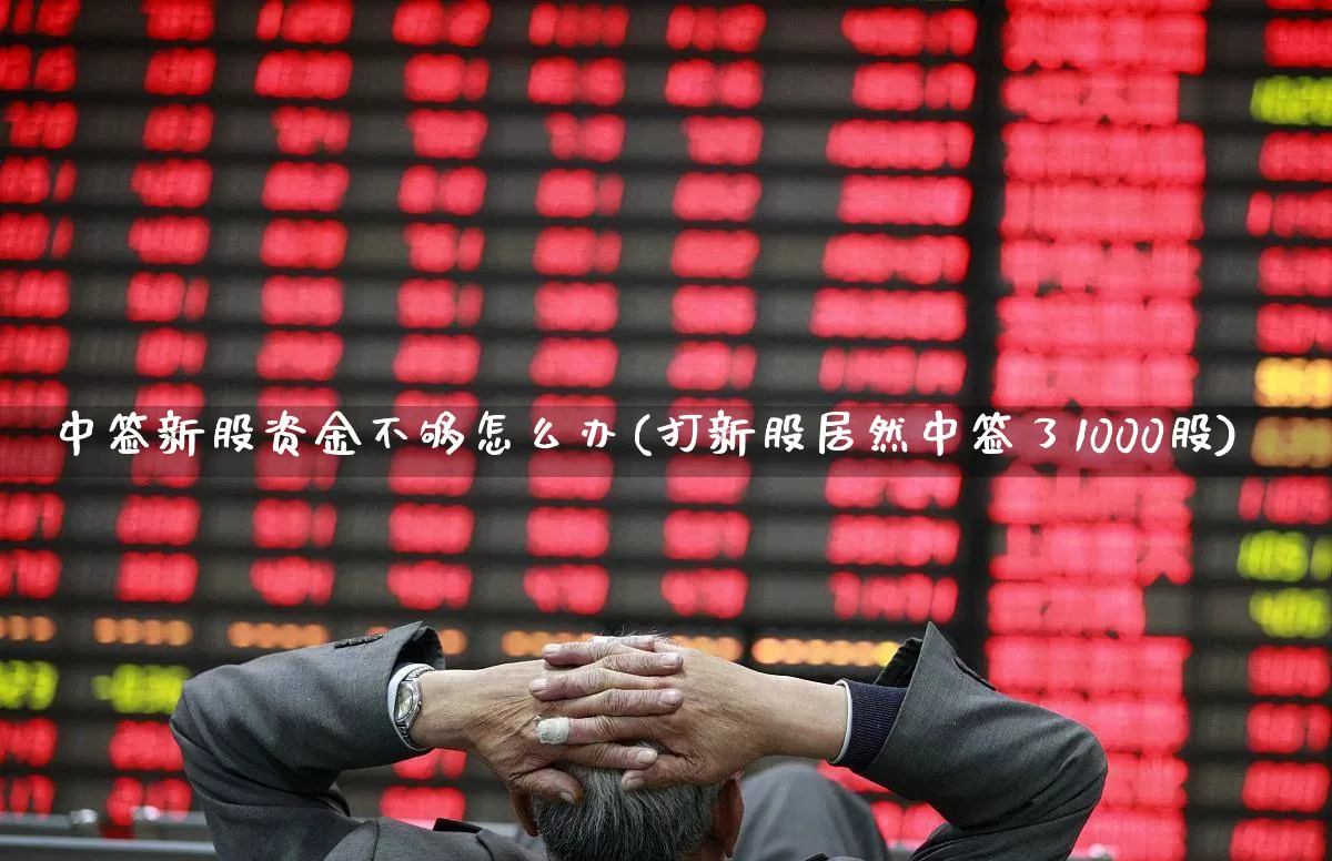 中签新股资金不够怎么办(打新股居然中签了1000股)_https://www.xzdzchf.com_深交所_第1张
