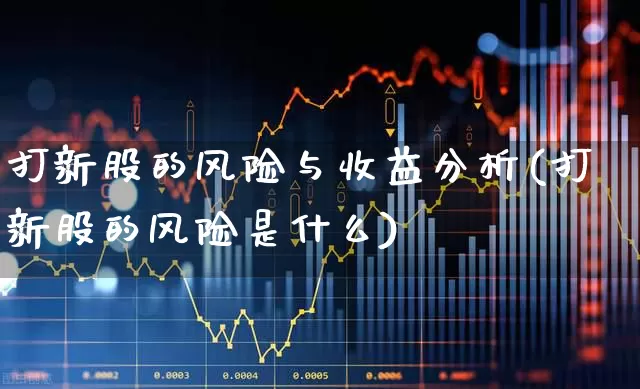 打新股的风险与收益分析(打新股的风险是什么)_https://www.xzdzchf.com_创业板_第1张