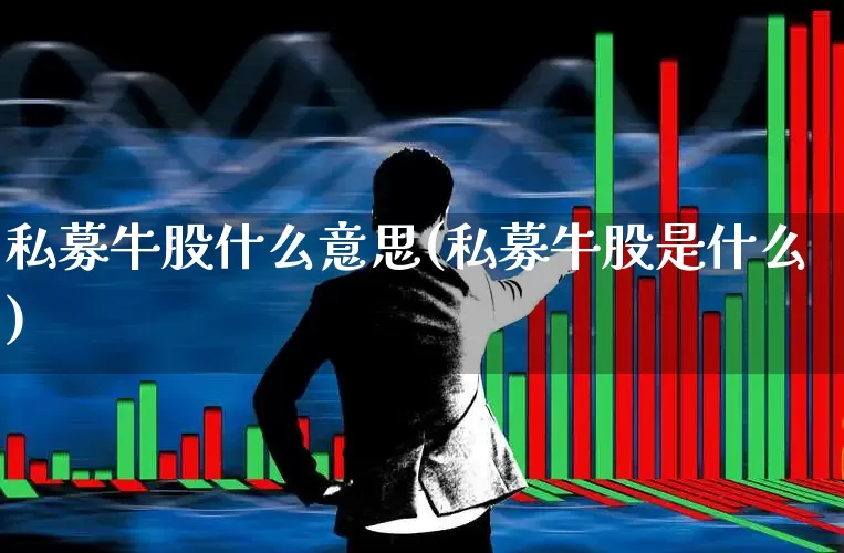 私募牛股什么意思(私募牛股是什么)_https://www.xzdzchf.com_科创板_第1张