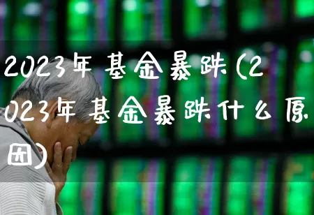 2023年基金暴跌(2023年基金暴跌什么原因)_https://www.xzdzchf.com_创业板_第1张
