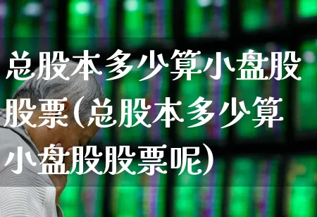 总股本多少算小盘股股票(总股本多少算小盘股股票呢)_https://www.xzdzchf.com_深交所_第1张