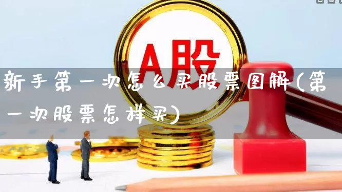 新手第一次怎么买股票图解(第一次股票怎样买)_https://www.xzdzchf.com_科创板_第1张