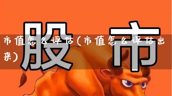 市值怎么评估(市值怎么评估出来)_https://www.xzdzchf.com_创业板_第1张