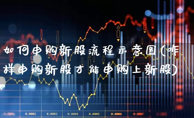 如何申购新股流程示意图(咋样申购新股才能申购上新股)_https://www.xzdzchf.com_北交所_第1张