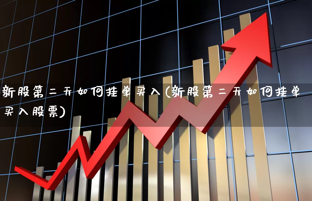 新股第二天如何挂单买入(新股第二天如何挂单买入股票)_https://www.xzdzchf.com_深交所_第1张