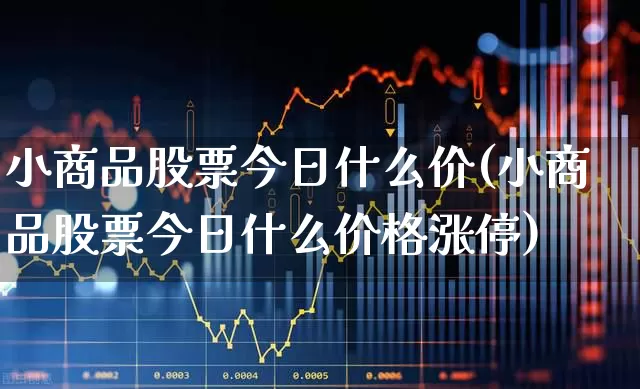 小商品股票今日什么价(小商品股票今日什么价格涨停)_https://www.xzdzchf.com_深交所_第1张