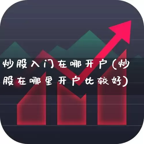 炒股入门在哪开户(炒股在哪里开户比较好)_https://www.xzdzchf.com_创业板_第1张