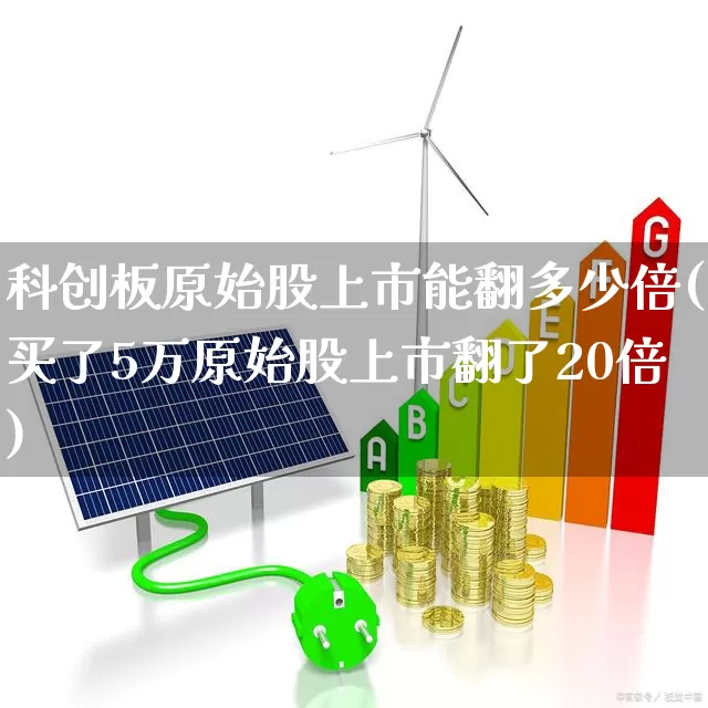 科创板原始股上市能翻多少倍(买了5万原始股上市翻了20倍)_https://www.xzdzchf.com_深交所_第1张