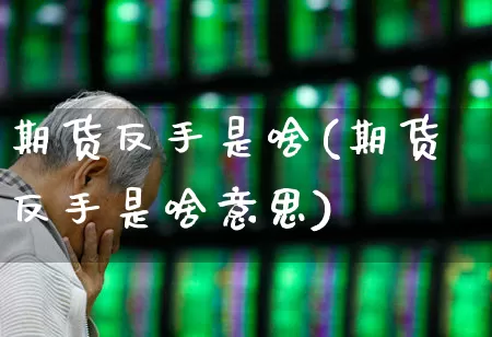 期货反手是啥(期货反手是啥意思)_https://www.xzdzchf.com_科创板_第1张