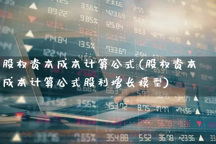 股权资本成本计算公式(股权资本成本计算公式股利增长模型)_https://www.xzdzchf.com_创业板_第1张