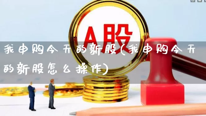 我申购今天的新股(我申购今天的新股怎么操作)_https://www.xzdzchf.com_深交所_第1张