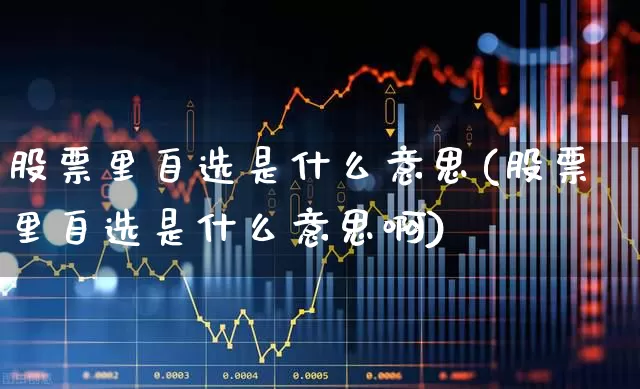 股票里自选是什么意思(股票里自选是什么意思啊)_https://www.xzdzchf.com_上交所_第1张