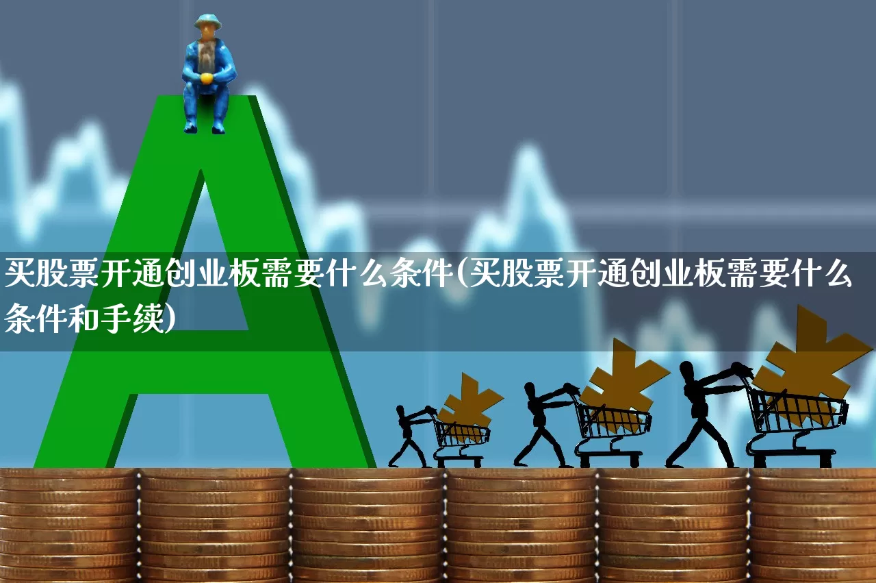 买股票开通创业板需要什么条件(买股票开通创业板需要什么条件和手续)_https://www.xzdzchf.com_深交所_第1张