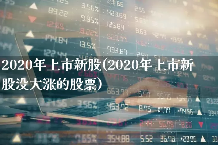 2020年上市新股(2020年上市新股没大涨的股票)_https://www.xzdzchf.com_创业板_第1张