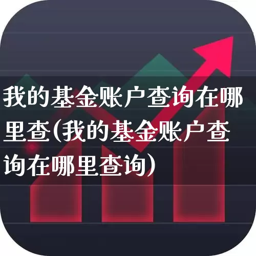 我的基金账户查询在哪里查(我的基金账户查询在哪里查询)_https://www.xzdzchf.com_创业板_第1张