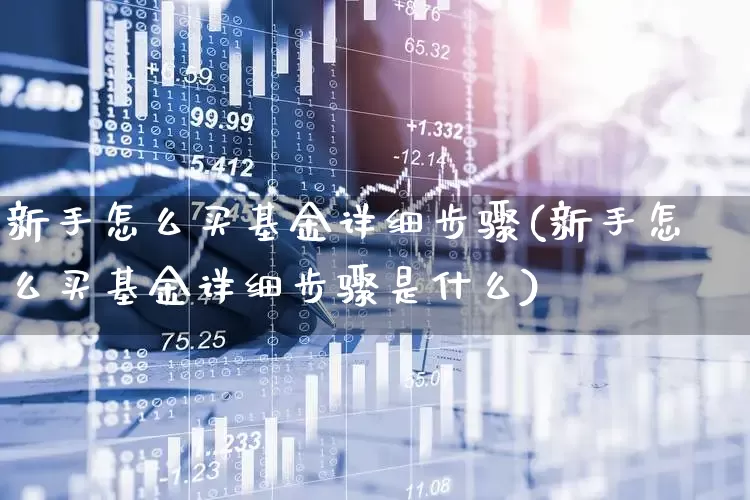 新手怎么买基金详细步骤(新手怎么买基金详细步骤是什么)_https://www.xzdzchf.com_北交所_第1张