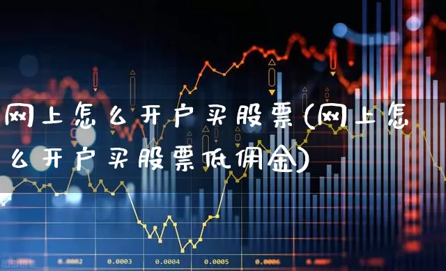 网上怎么开户买股票(网上怎么开户买股票低佣金)_https://www.xzdzchf.com_上交所_第1张