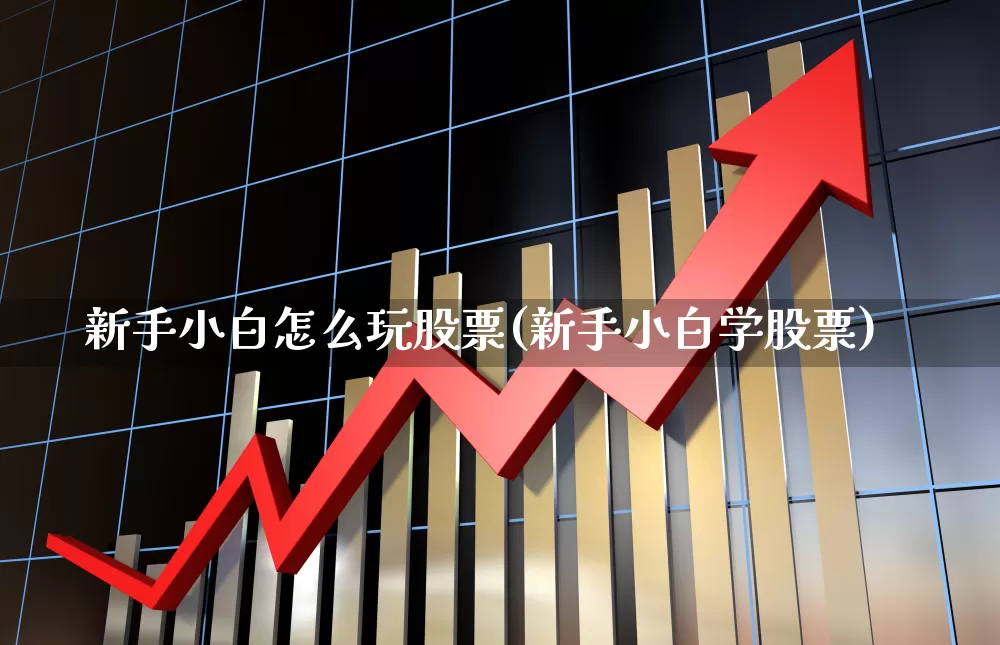 新手小白怎么玩股票(新手小白学股票)_https://www.xzdzchf.com_创业板_第1张
