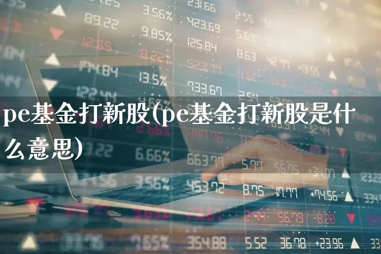 pe基金打新股(pe基金打新股是什么意思)_https://www.xzdzchf.com_科创板_第1张