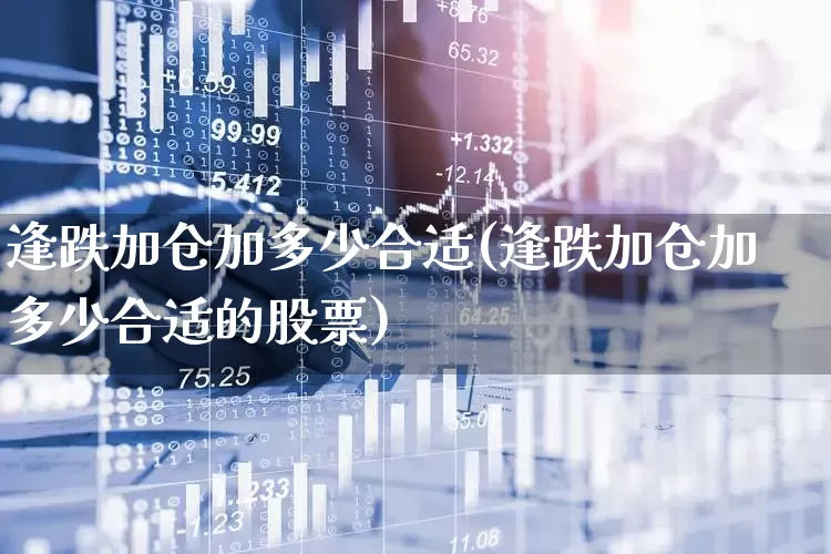 逢跌加仓加多少合适(逢跌加仓加多少合适的股票)_https://www.xzdzchf.com_科创板_第1张