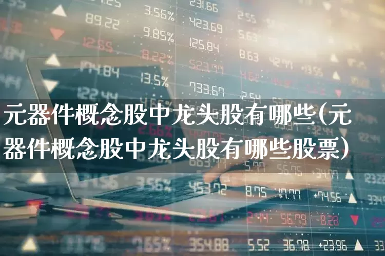 元器件概念股中龙头股有哪些(元器件概念股中龙头股有哪些股票)_https://www.xzdzchf.com_北交所_第1张