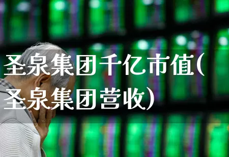 圣泉集团千亿市值(圣泉集团营收)_https://www.xzdzchf.com_深交所_第1张