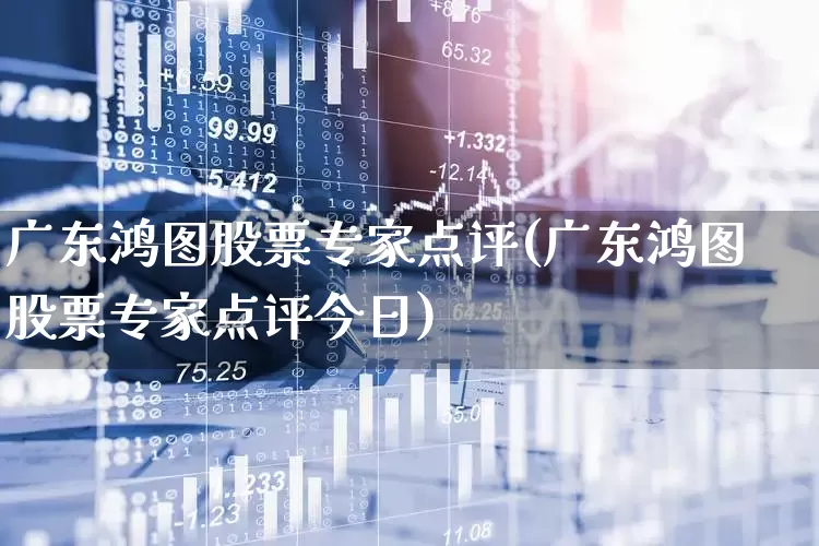 广东鸿图股票专家点评(广东鸿图股票专家点评今日)_https://www.xzdzchf.com_北交所_第1张