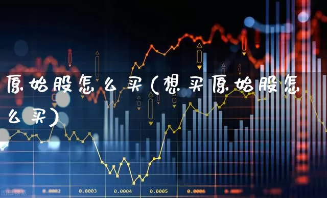 原始股怎么买(想买原始股怎么买)_https://www.xzdzchf.com_深交所_第1张