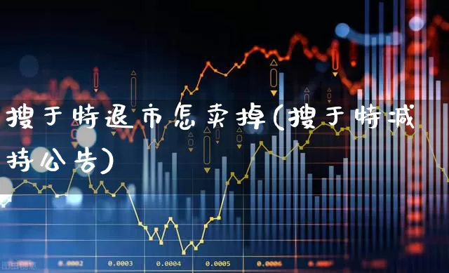 搜于特退市怎卖掉(搜于特减持公告)_https://www.xzdzchf.com_北交所_第1张