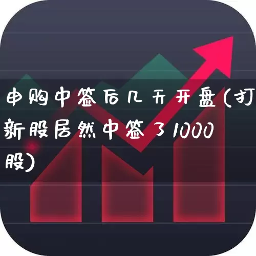 申购中签后几天开盘(打新股居然中签了1000股)_https://www.xzdzchf.com_北交所_第1张
