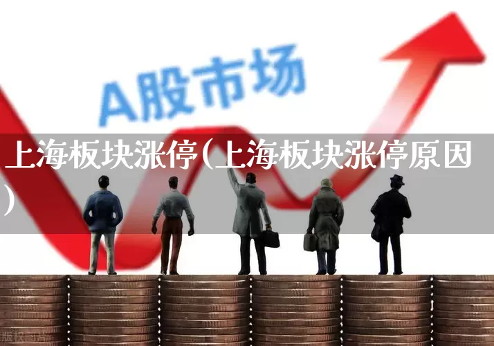 上海板块涨停(上海板块涨停原因)_https://www.xzdzchf.com_北交所_第1张