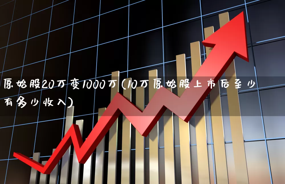 原始股20万变1000万(10万原始股上市后至少有多少收入)_https://www.xzdzchf.com_科创板_第1张