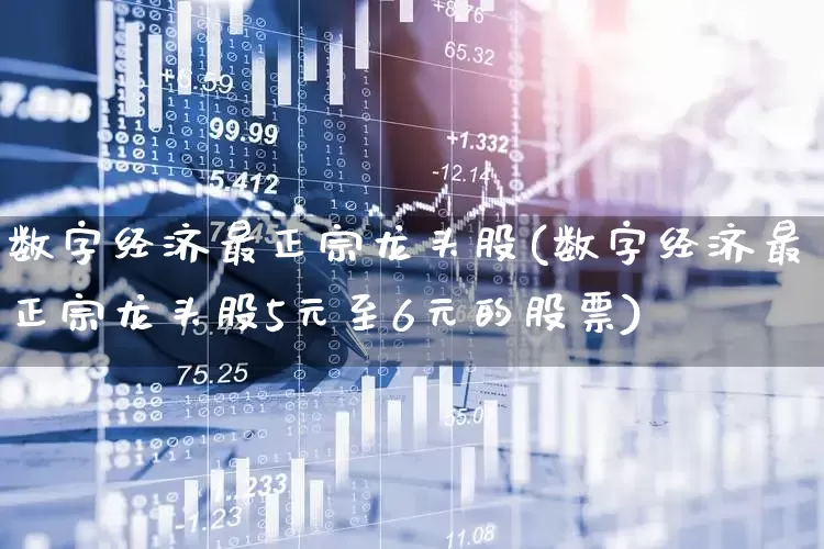 数字经济最正宗龙头股(数字经济最正宗龙头股5元至6元的股票)_https://www.xzdzchf.com_北交所_第1张