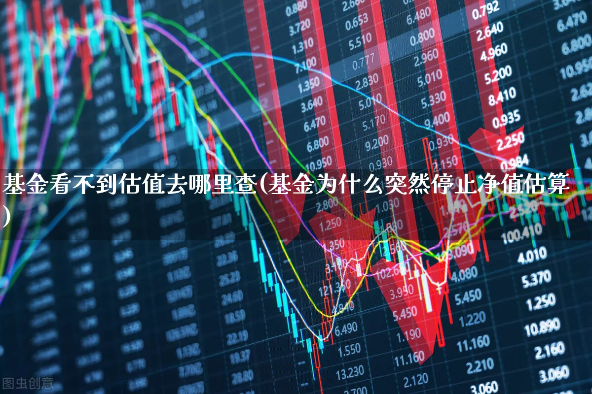基金看不到估值去哪里查(基金为什么突然停止净值估算)_https://www.xzdzchf.com_北交所_第1张