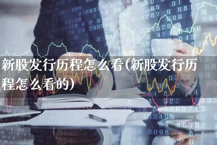 新股发行历程怎么看(新股发行历程怎么看的)_https://www.xzdzchf.com_上交所_第1张