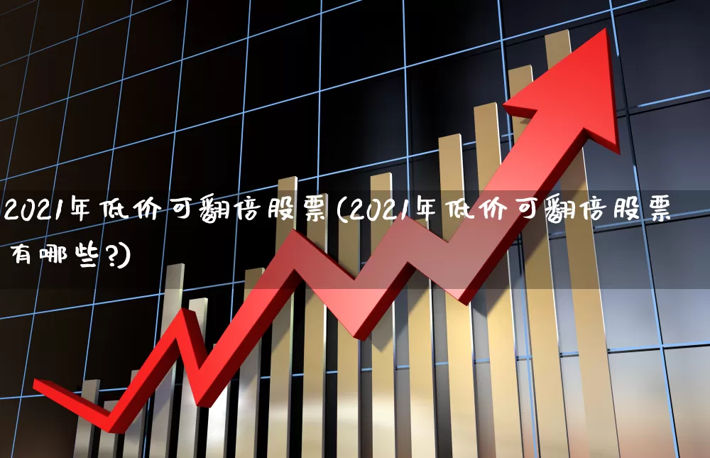 2021年低价可翻倍股票(2021年低价可翻倍股票有哪些?)_https://www.xzdzchf.com_北交所_第1张