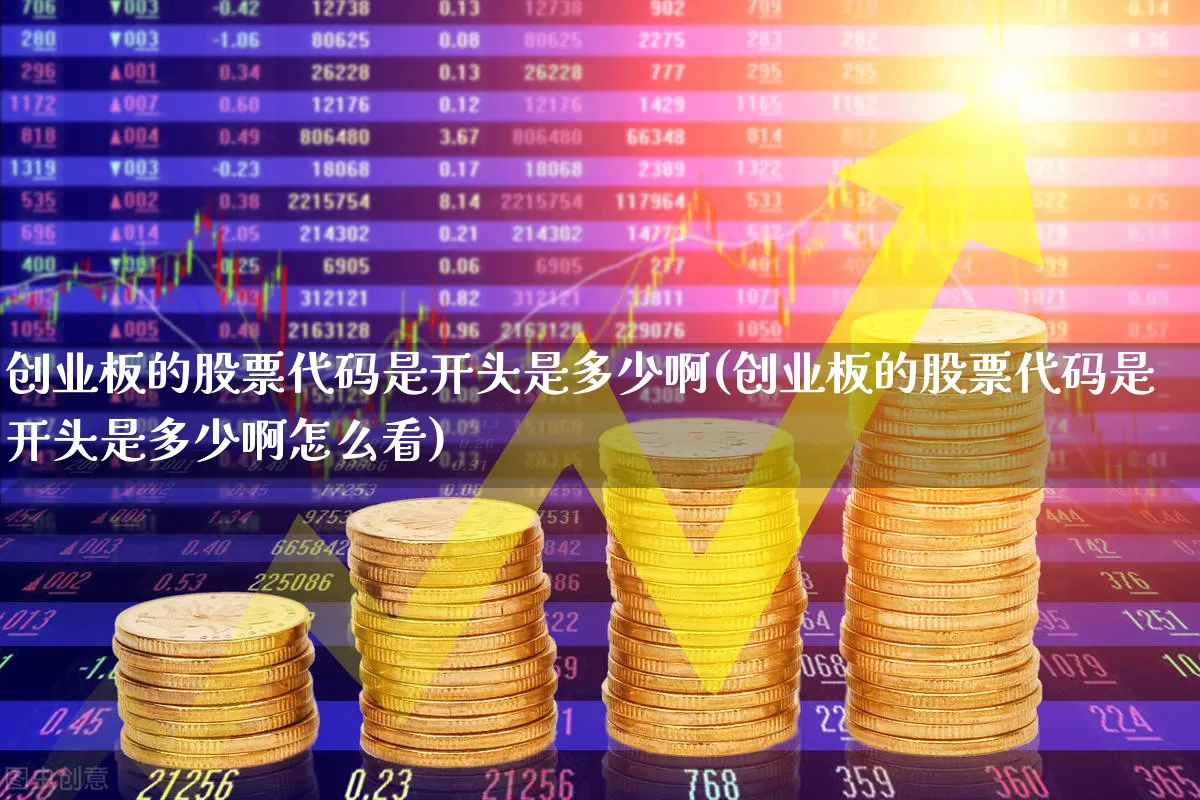 创业板的股票代码是开头是多少啊(创业板的股票代码是开头是多少啊怎么看)_https://www.xzdzchf.com_创业板_第1张