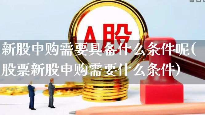 新股申购需要具备什么条件呢(股票新股申购需要什么条件)_https://www.xzdzchf.com_北交所_第1张