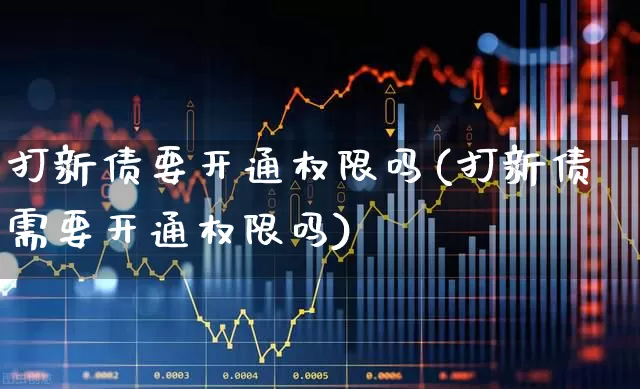 打新债要开通权限吗(打新债需要开通权限吗)_https://www.xzdzchf.com_创业板_第1张
